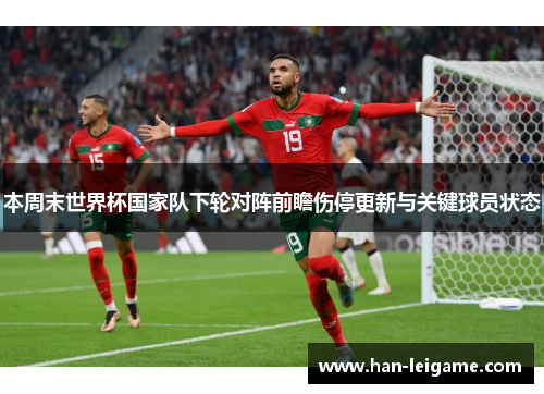 本周末世界杯国家队下轮对阵前瞻伤停更新与关键球员状态